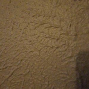 Meet your Posher, Javier